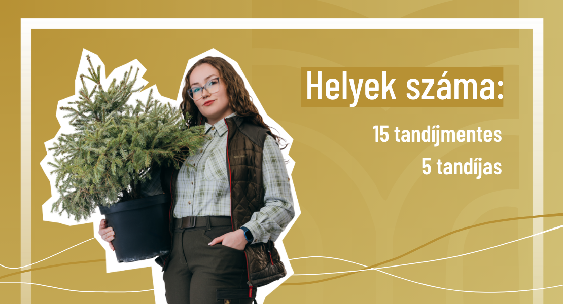 Erdőmérnöki szak