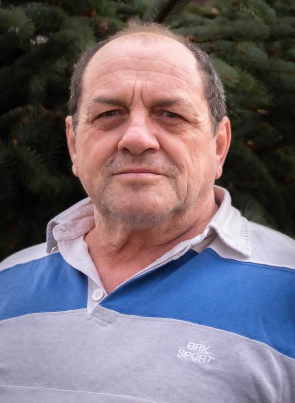 Radui Miklós