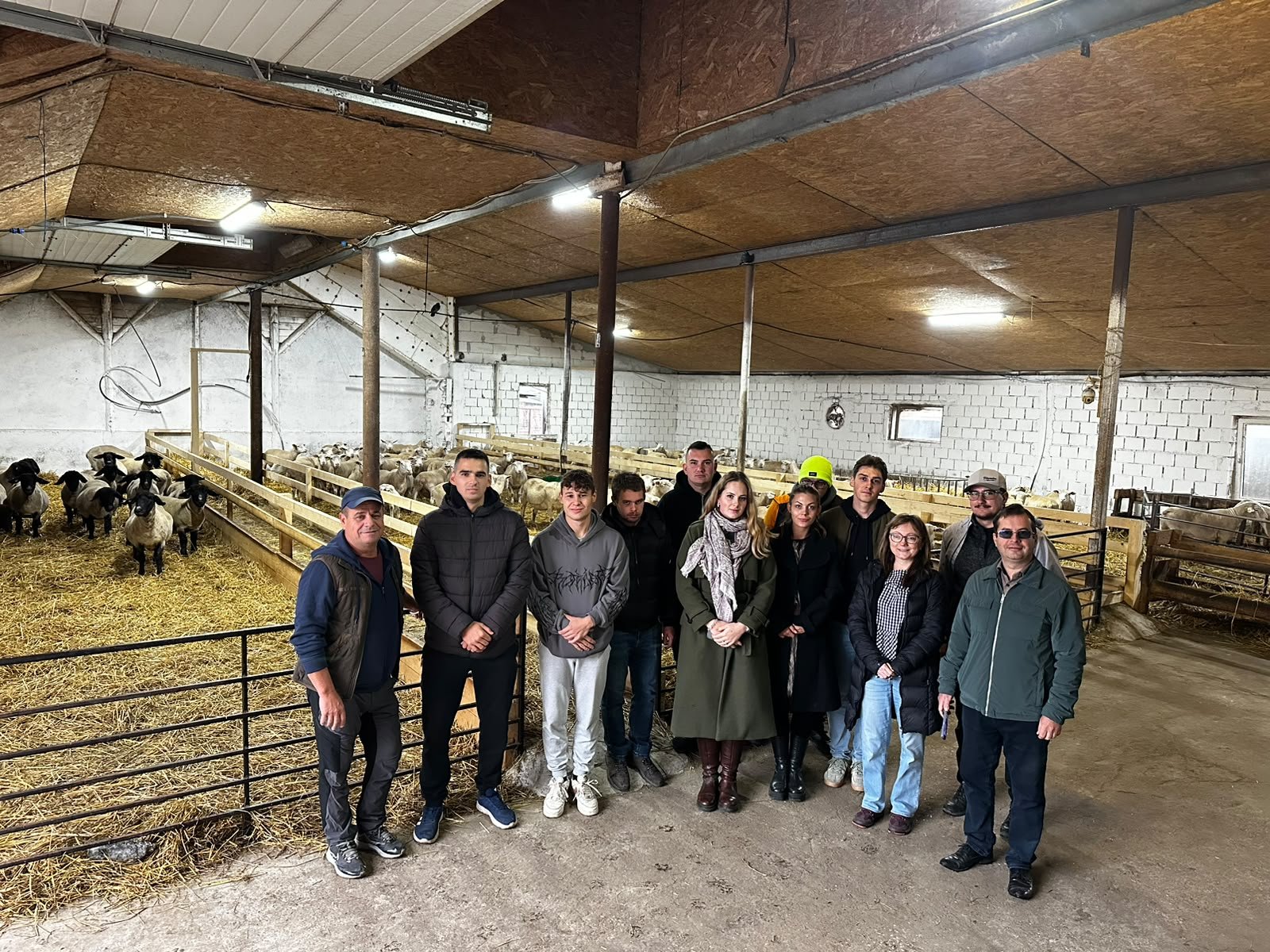Agrármérnök hallgatóink egy szentkatolnai családi juhgazdaságba nyertek betekintést
